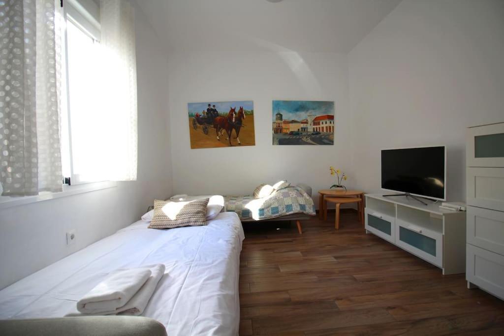 Sevilla Centro - Carrion Mejias Ngoại thất bức ảnh